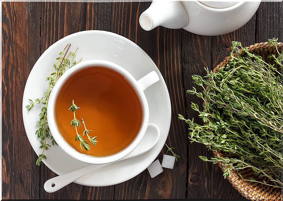 Thyme infusion to combat bronchitis
