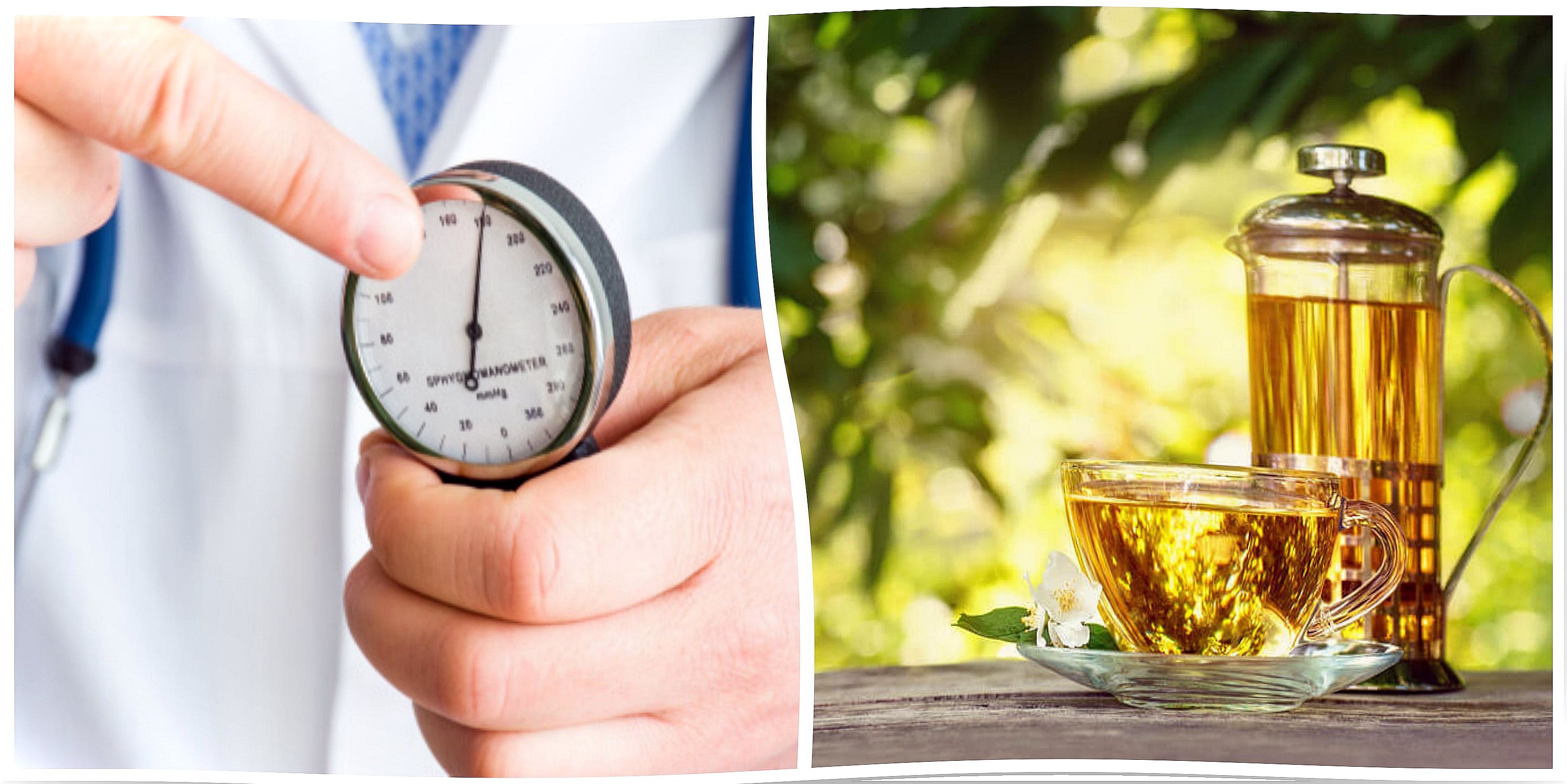 5 herbs you can prepare to combat hypertension