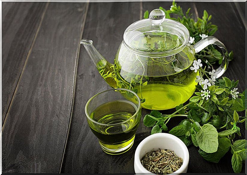 Green tea, one of the best fat burners