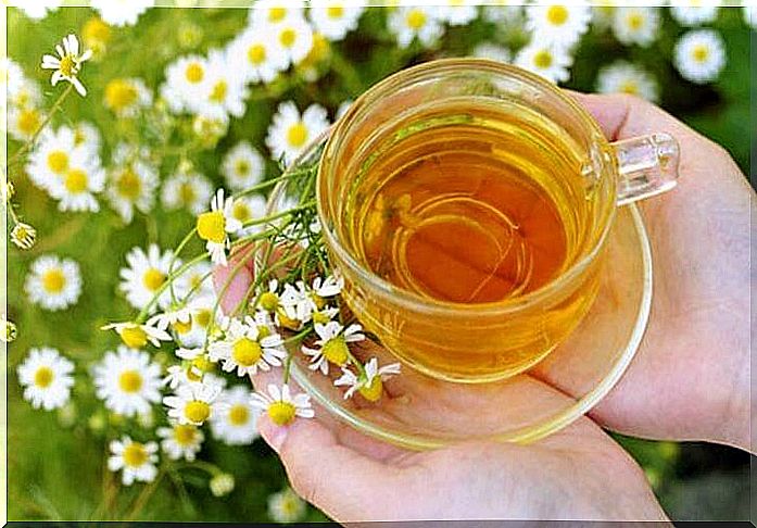 Chamomile to protect nails