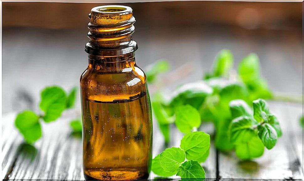peppermint oil for weight loss