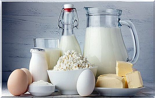 Food-Calcium-1