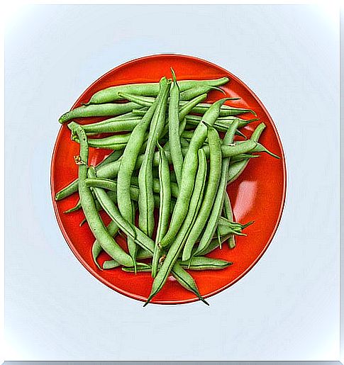 Green beans, a vegetable with great antioxidant capacity