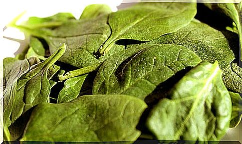 safe spinach89