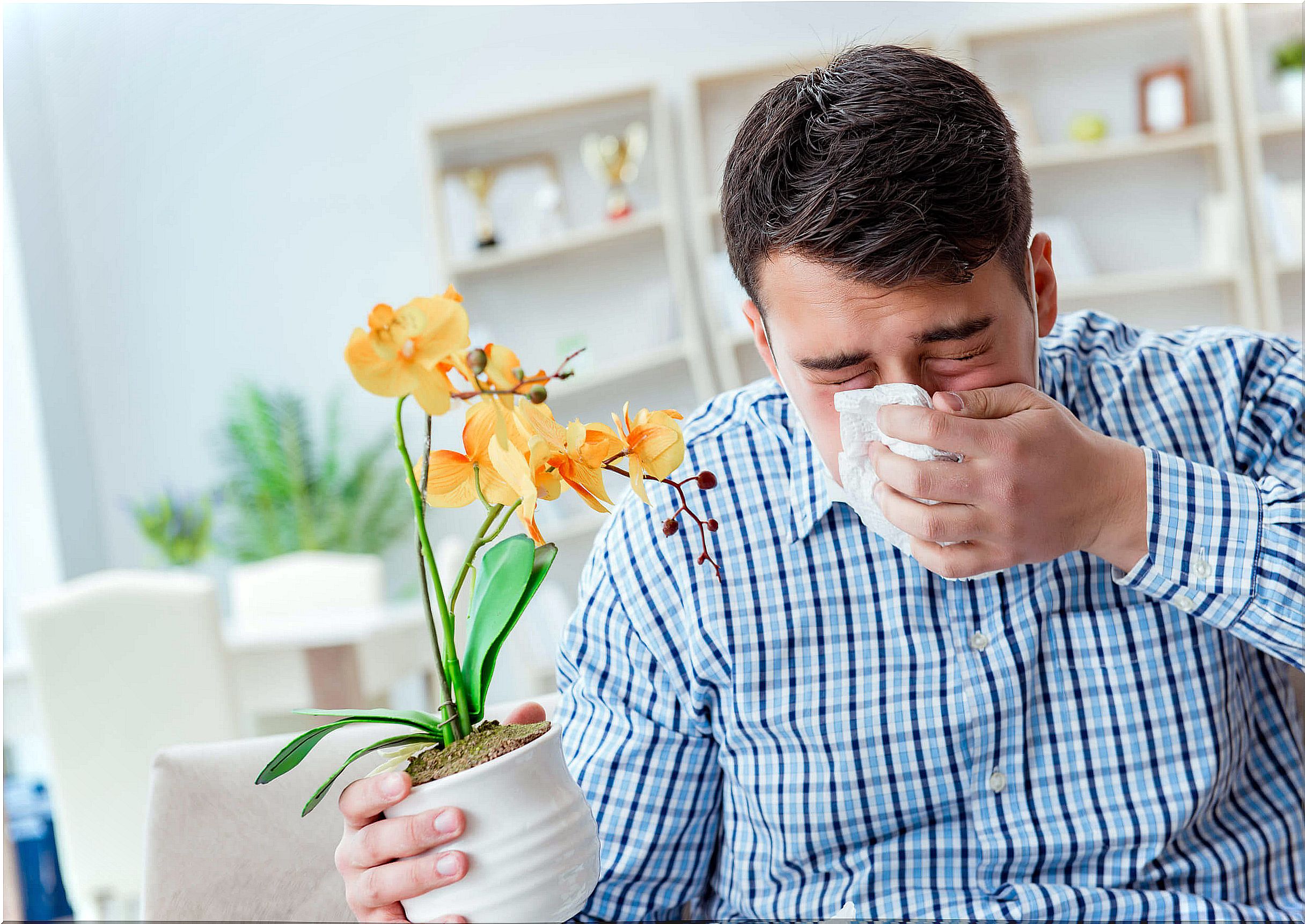 Hay fever: 10 remedies to combat it
