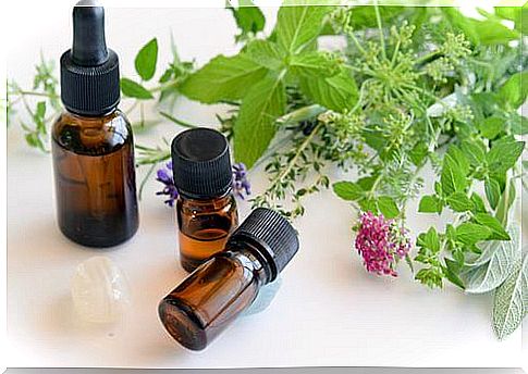 Plants and essential oil bottles