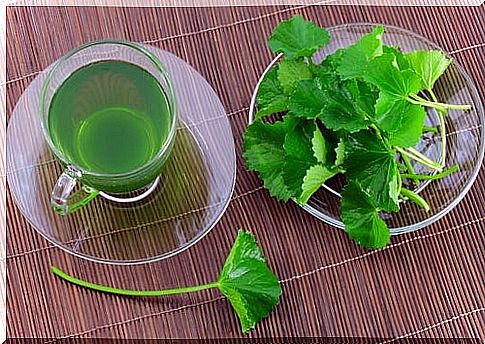 Parsley-and-cloves-rinse