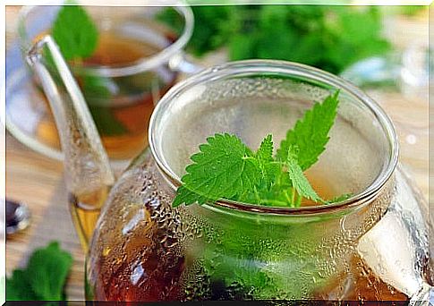 mint infusion